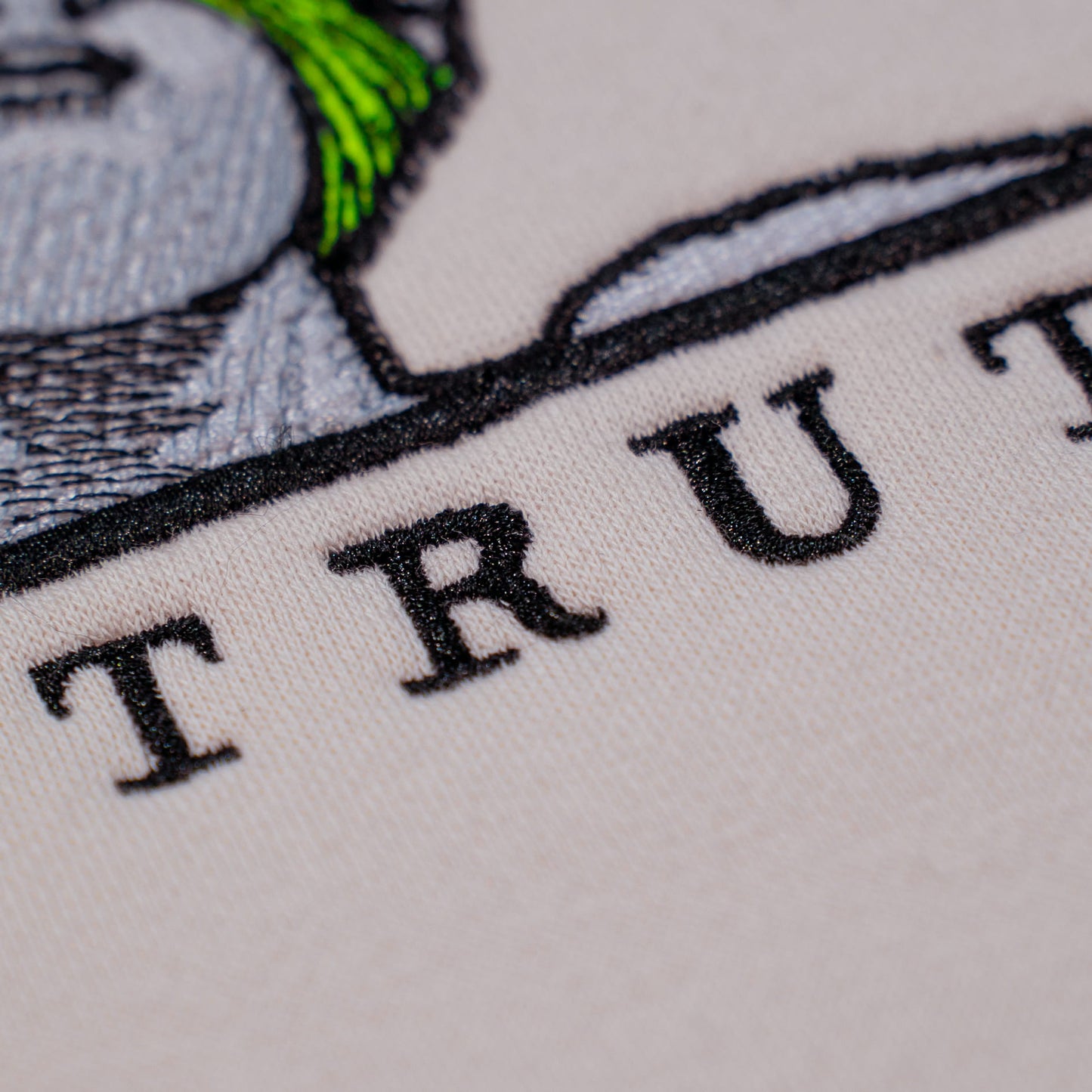 Unveil The Truth Embroided Hoodie