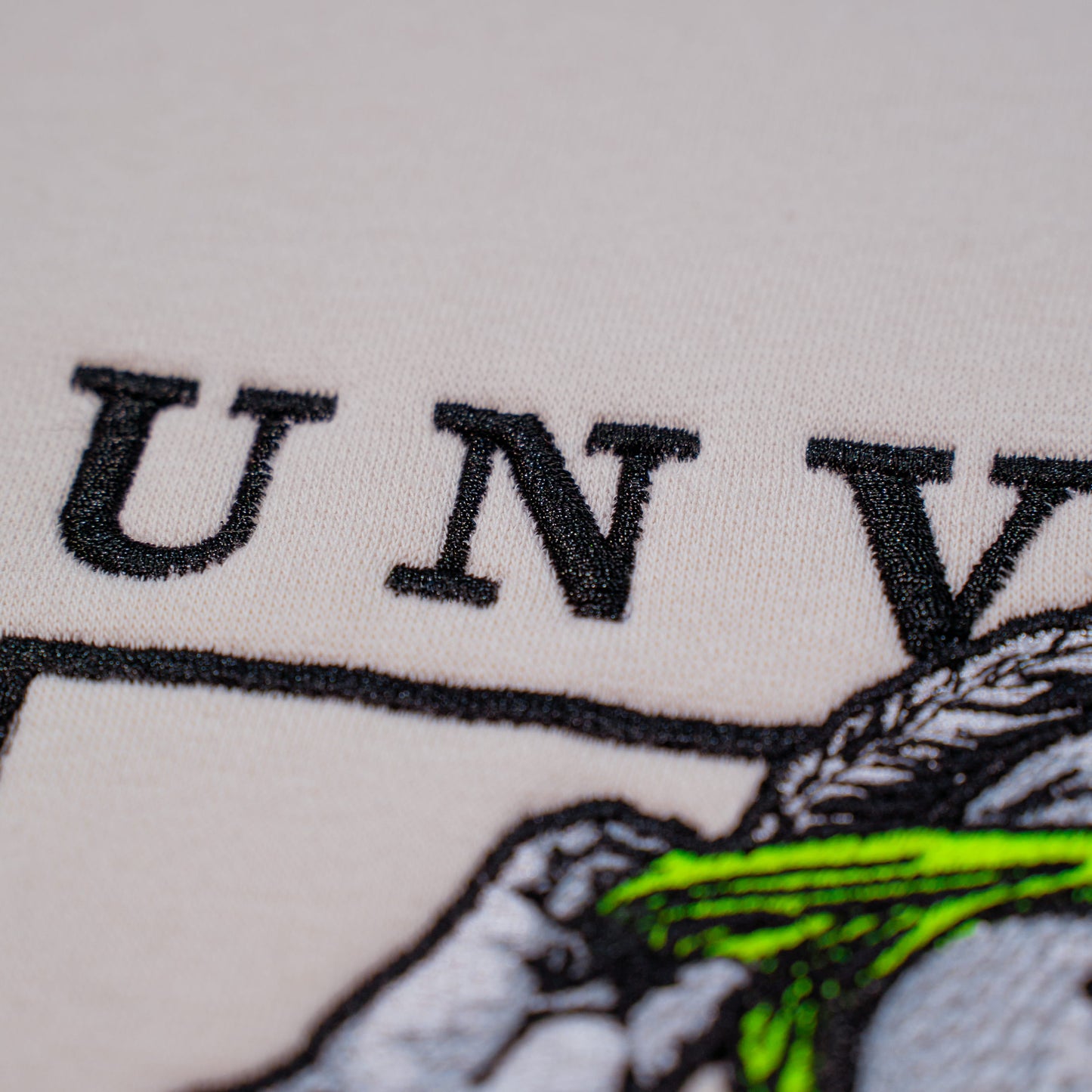 Unveil The Truth Embroided Hoodie